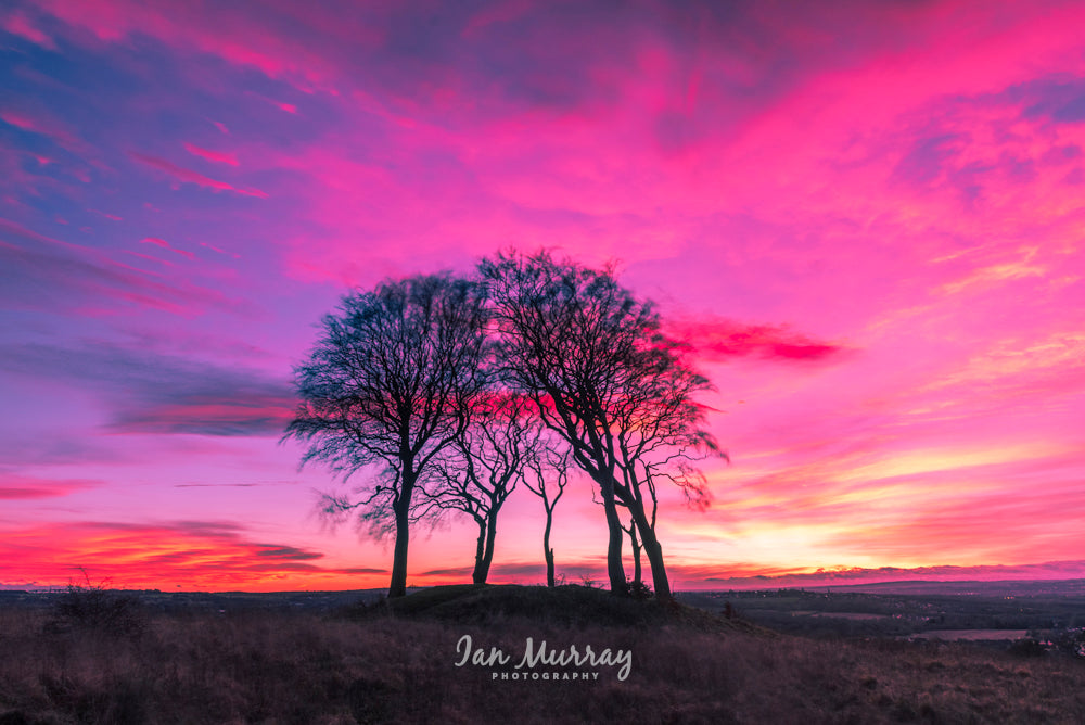 Seven Sisters, Sunderland