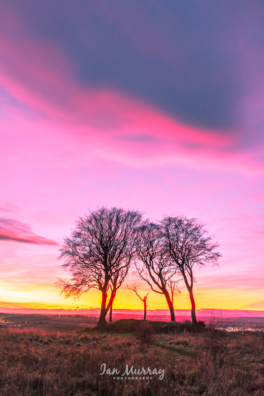 Seven Sisters, Sunderland