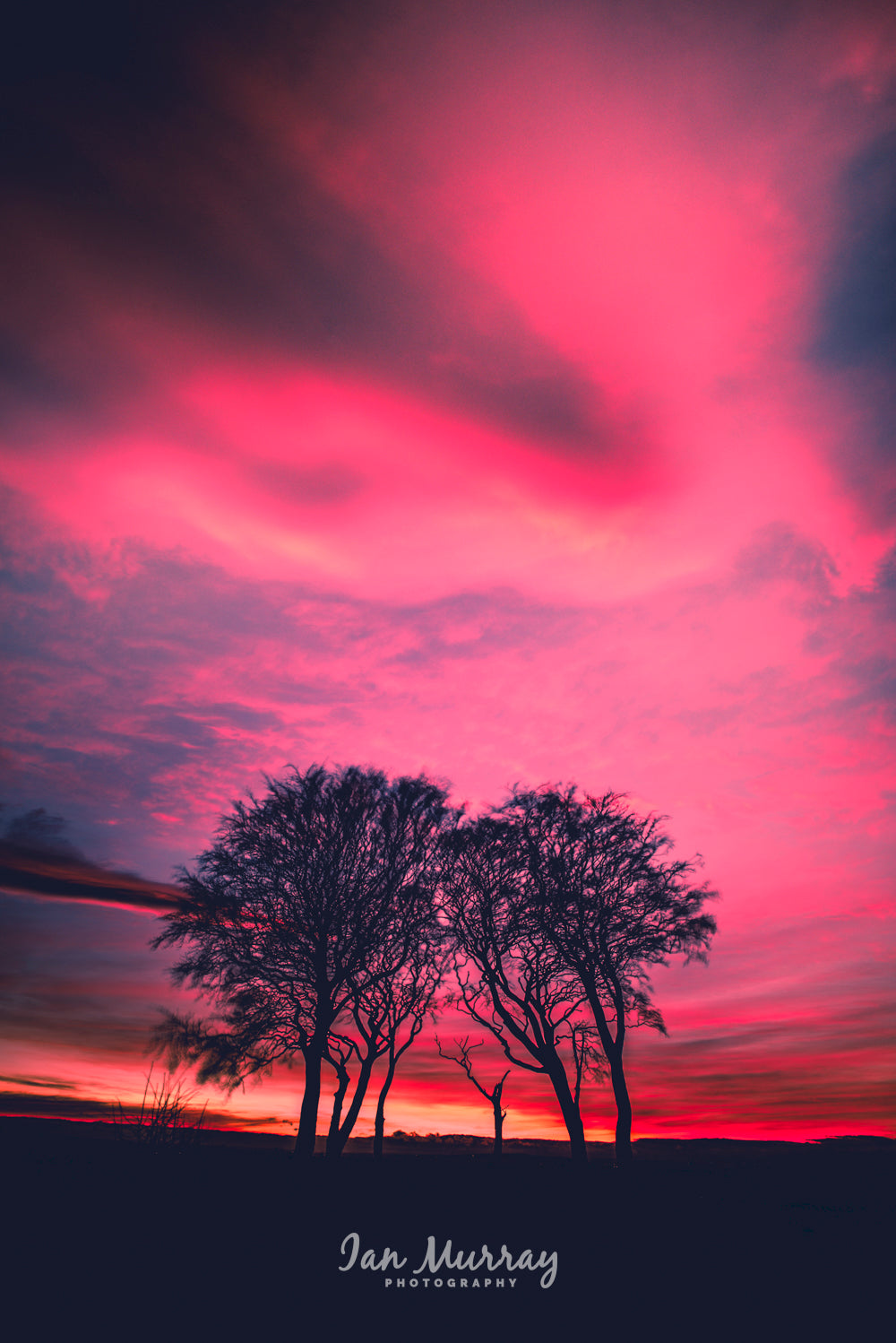 Seven Sisters, Sunderland
