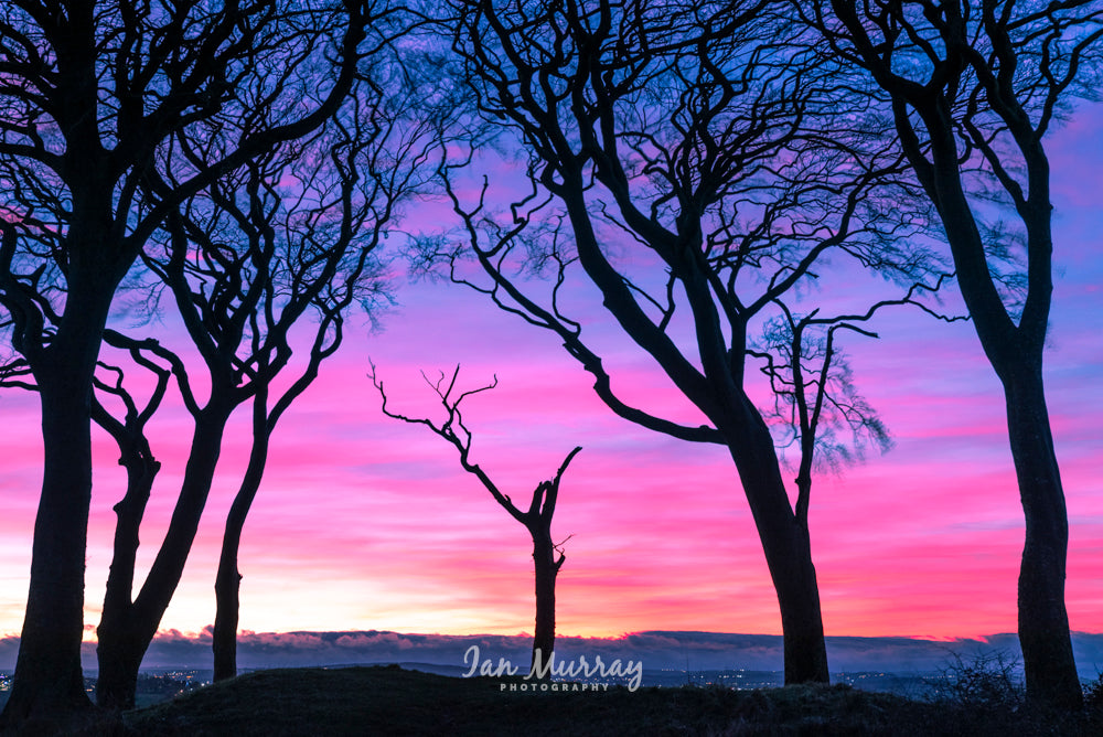 Seven Sisters, Sunderland