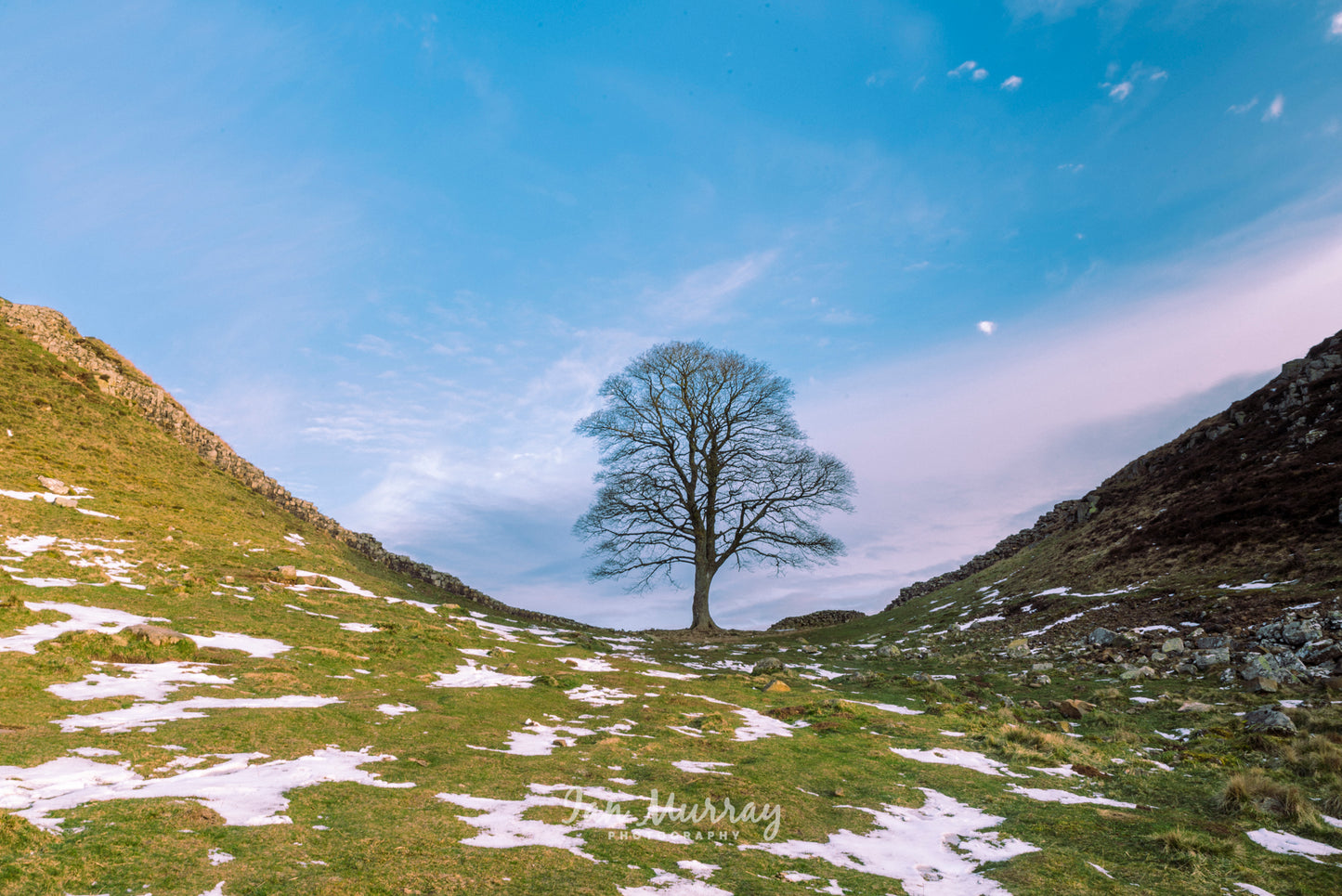 Sycamore Gap, Northumberland