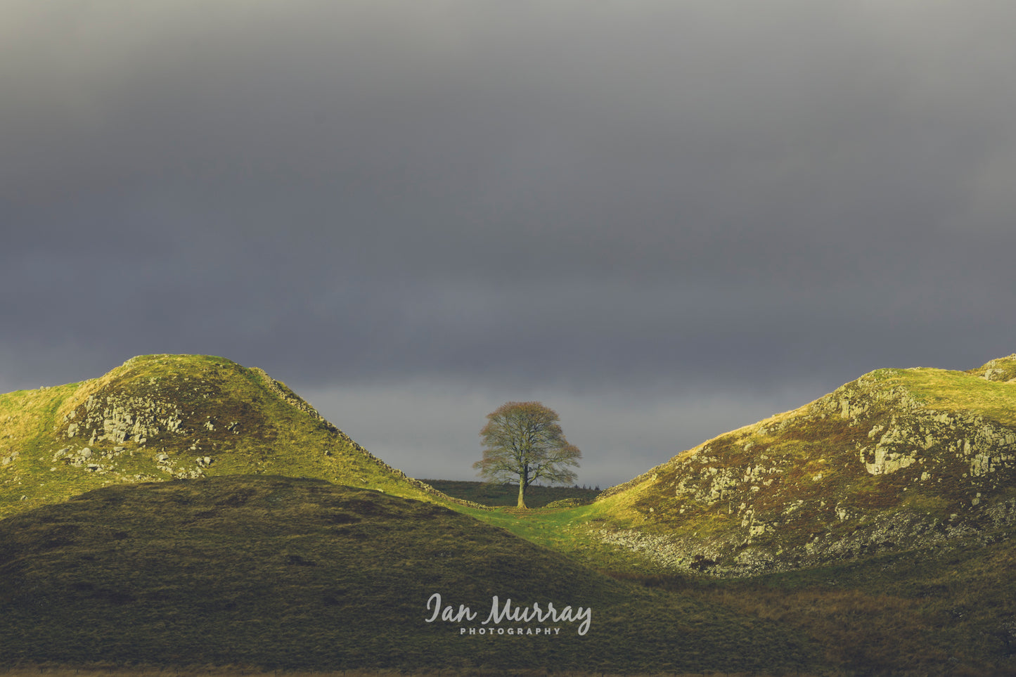 Sycamore Gap, Northumberland