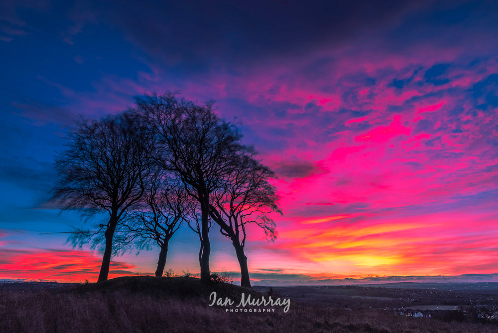 Seven Sisters, Sunderland