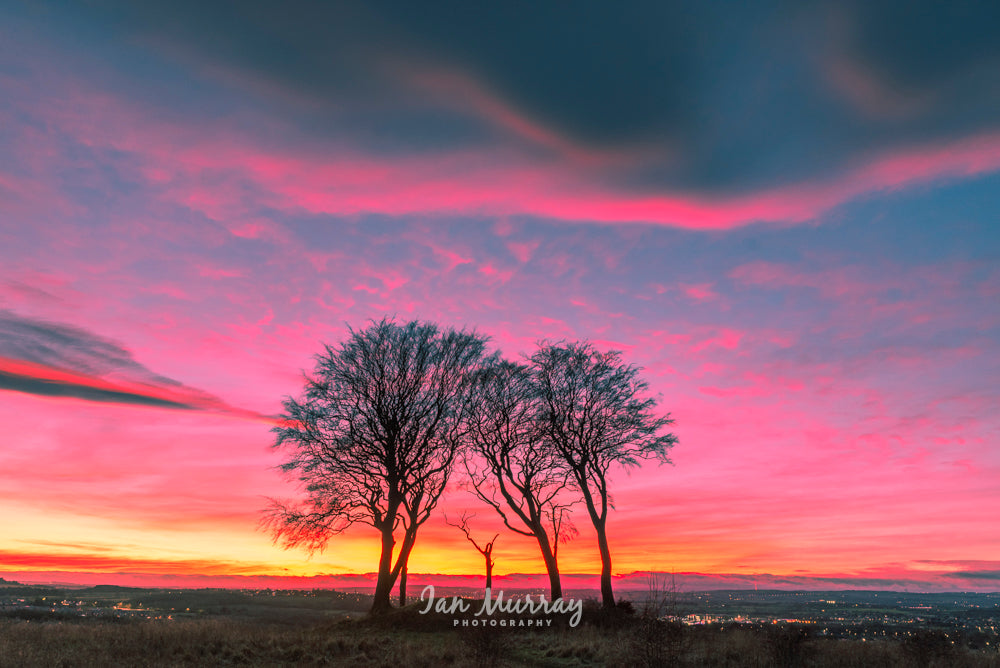 Seven Sisters, Sunderland