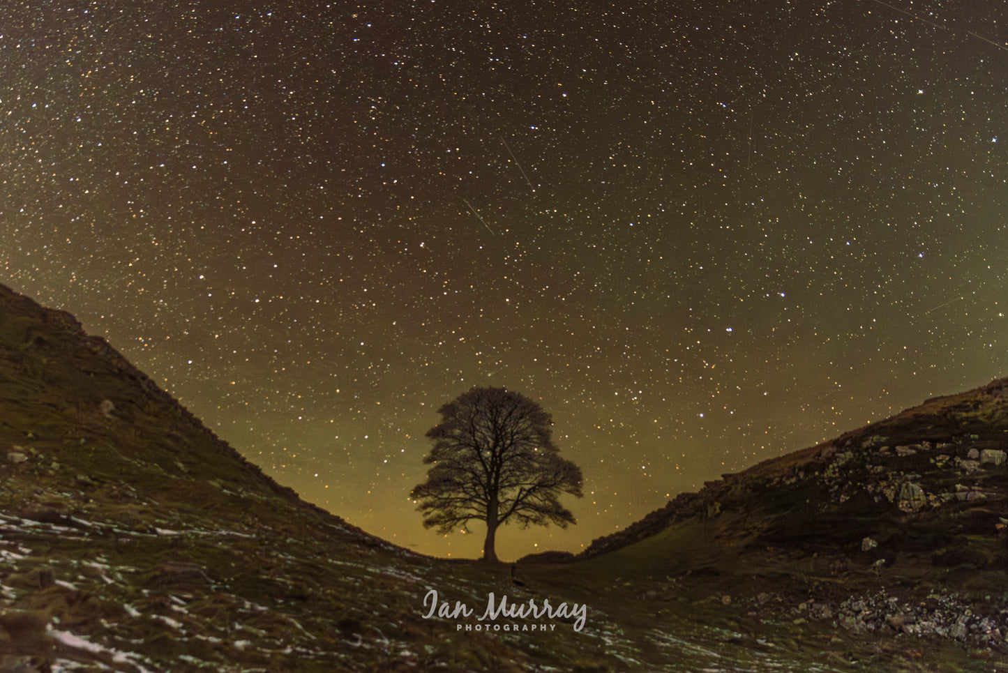 Sycamore Gap, Northumberland
