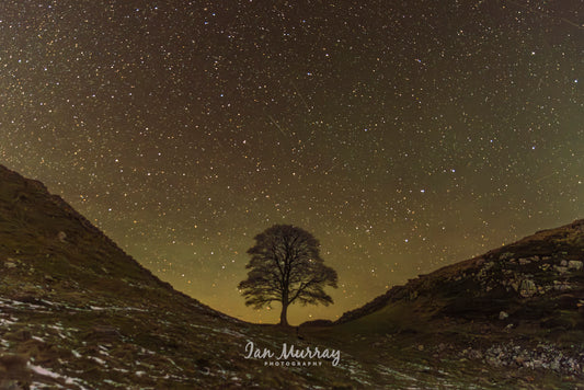 Sycamore Gap, Northumberland