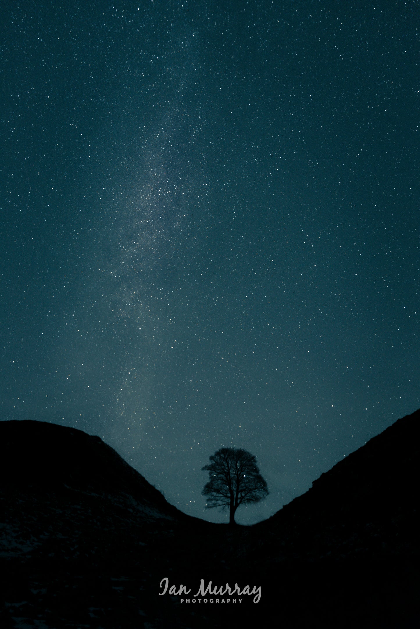 Sycamore Gap, Northumberland