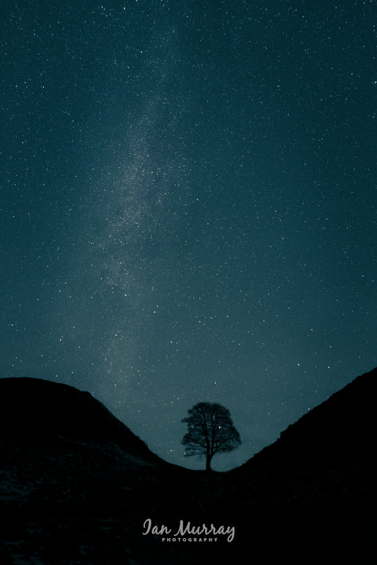 Sycamore Gap, Northumberland