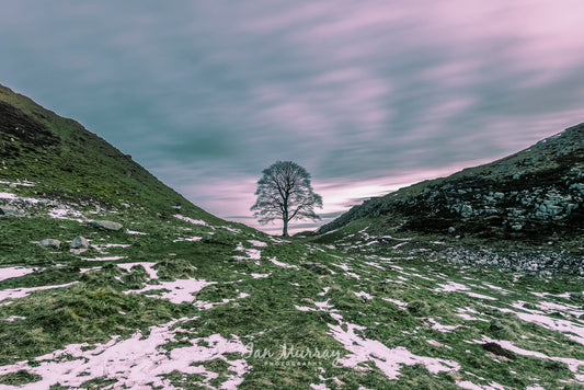 Sycamore Gap, Northumberland