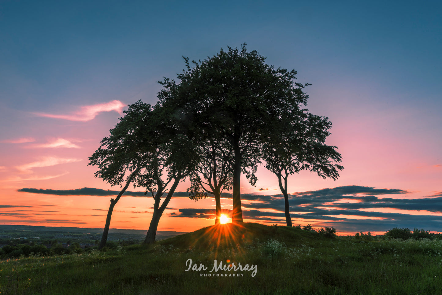 Seven Sisters, Sunderland
