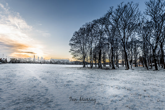 St. James' Park, Newcastle