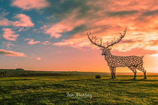 Derwent Manor Hotel, Northumberland