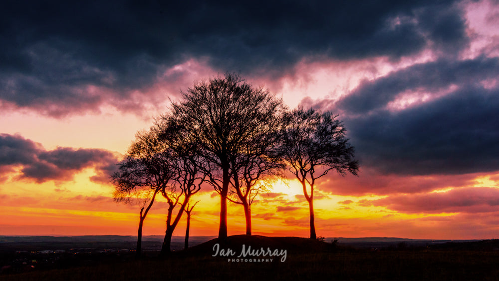 Seven Sisters, Sunderland
