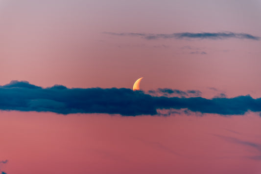 Moon, North Tyneside