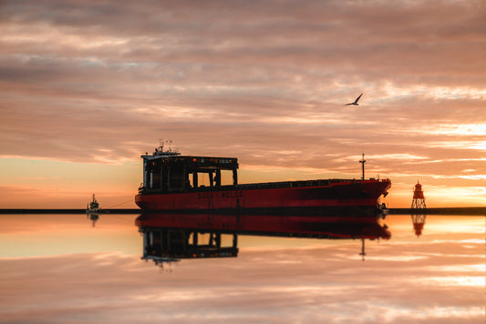 Herald Groyne, South Shields