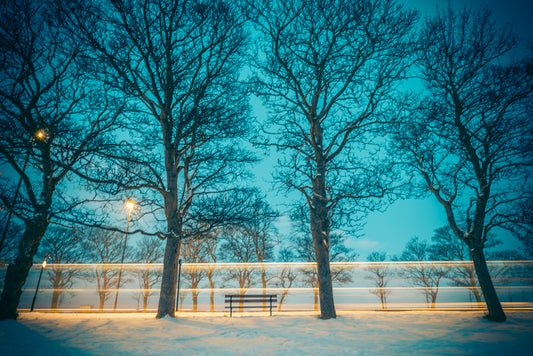 Town Moor, Newcastle